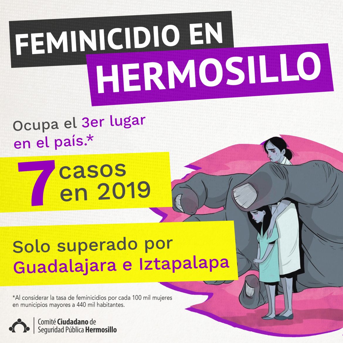 Campaña Feminicidios • CCSP Hermosillo