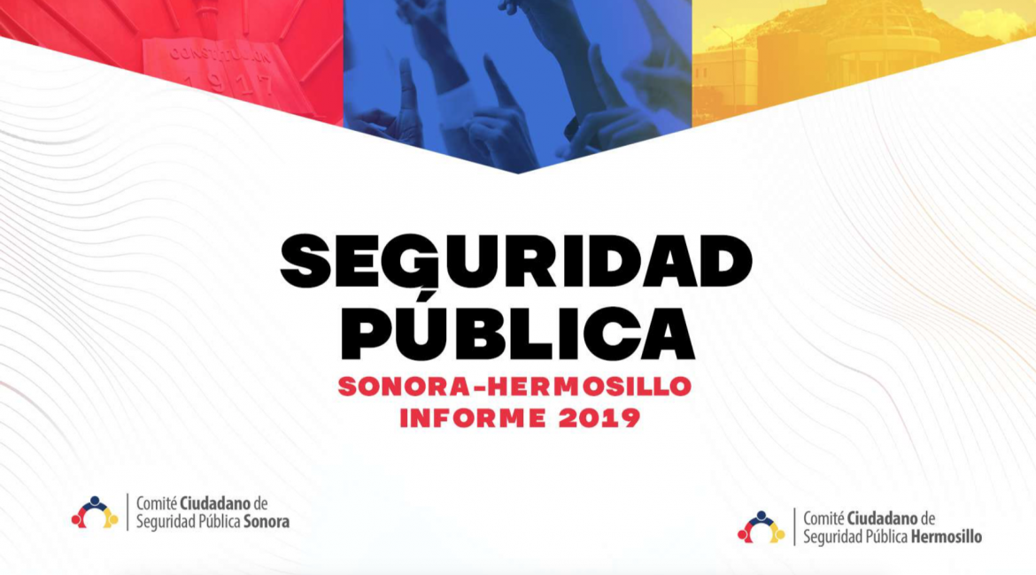 Informe de Seguridad Pública 2019