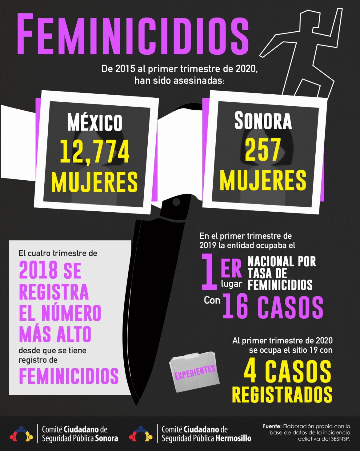 Homicidios y Feminicidios en Sonora